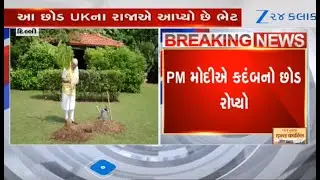 Delhi: PM Narendra Modi plants Kadamb sapling gifted by King Charles on his birthday