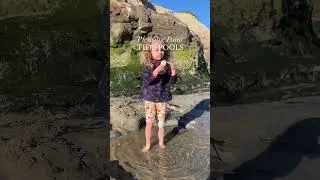 Pleasure Point Tide Pools