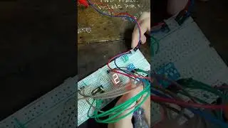 Display 7 segmentos con dip switch