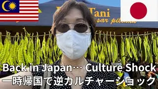 35 Years in Malaysia: A Japanese Reverse Culture Shock【マレーシアから日本へ一時帰国｜日本人が感じた逆カルチャーショック9連発】