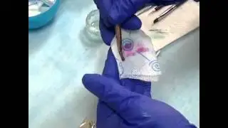 Средство для промывки кистей Gel Brush Cleaner Justnail Y1DF15