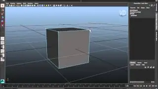 Polygon Basics And Tools