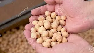 Coated Peanut Seasoning Machine/Fried Food Flavoring Machine