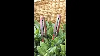 A Burst of Color - Conklin 1898 Misto Flare