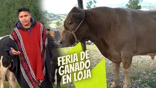 Feria Ganadera en Loja, 2024