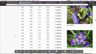 Exploratory Data Analysis 01 Simple Plotting Tools | Iris Dataset EDA | AI Experiments