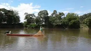 Pesca con atarraya r&iacute;o Cauca
