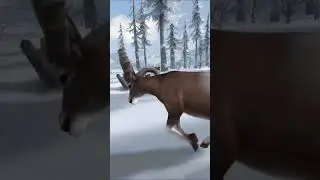 WESTIN PHANTOM RIFLE ARGALI HUNTING|REAL HUNTING 3D