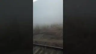 lost in the fog,🤯found in the moment🤯😮WFI #foggymorning #beautifulmorning #foggystart #foggyday