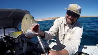 Gnaraloo 2018