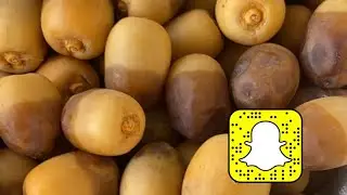 رطب المدينة مميّز جدا