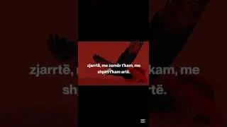 Keng patriotike shqiptare 🇦🇱🦅🫶🏼&hearts;️🫡