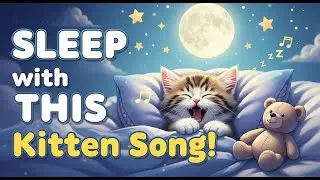 Sleepy Kitten Bedtime Song 😴💤