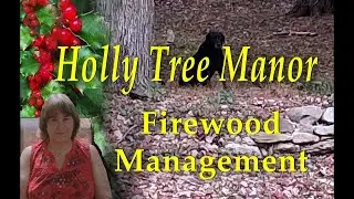 Firewood Management (a.k.a. a lot of work)