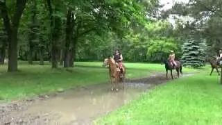 VS - Training Freudenau 30.05.2015