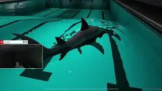 I TRY TO FACE MY BIGGEST FEAR!! -- Sharks and Minnows