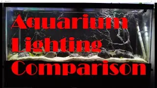 Aquarium Lighting Comparison LEDs and Fluorescent