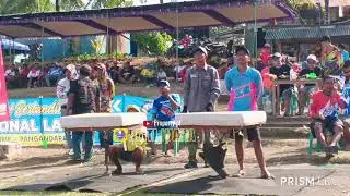 BABAK 3 LOMBA RING LOMNAS PMTI 2026 LAPAK KEBO PANGANDARAN