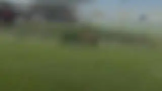 Advanced Turf and Reinforced Soil 3d