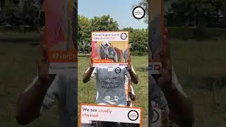 Join our movement- World Animal Protection