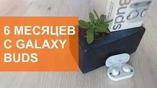 Galaxy Buds пол года спустя