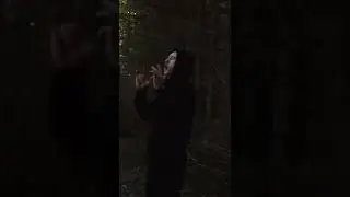 RasPas - В воздух