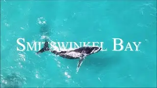 Smitswinkel Bay - Capetown - South Africa