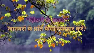 जानवरों के प्रति हमारा व्यवहार कैसा होना चाहिए? | करुणा और मानवता की सच्ची पहचान | 