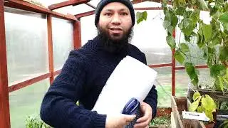 Winter Greenhouse Maintenance, Greenhouse Cleaning, Winter Gardening