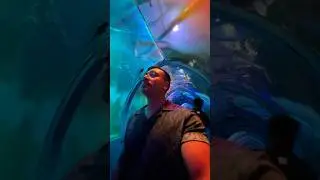 Fish tunnel in Kathmandu #nepalitraveller #traveldestinations #traveldesire #fishtunnel