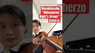 🎶Mendelsson &ldquo;Midsummer Night&rsquo;s Dream #audition #viola #violin #classicalmusic #practice #orchestra
