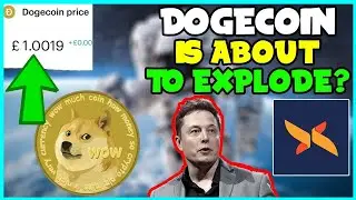 Elon Musk And Trump Might Push Dogecoin's Price To $0.81! (HUGE Holders and More ETF Inflow!) TESLA!