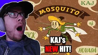 Every KAJ Song Is SO Addictive! | KAJ - Mosquito Reaction
