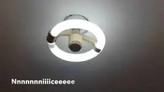 1980's General Electric Preheat Circline T9 Lamp (Bad video quality, don't know why)