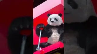So cute 🐼 This GIANT panda is a really fun in Tokyo, Japan #giantpanda #shorts #panda