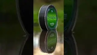 𝗦𝘆𝗻𝗮𝗽𝘀𝗲 𝗪𝗶𝗹𝗱 𝗖𝗮𝗿𝗽