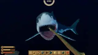 Raft   Fighting the Shark