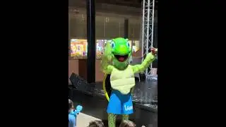 Landi Teneriffa Song Landmar Costa Los Gigantes