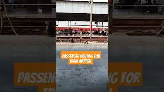 #monkey on the station waiting for the train #monkeyvideo