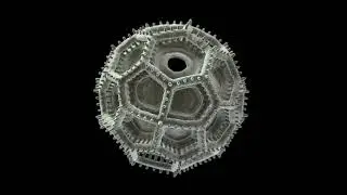 Vernonieae Pollen Grain Professional 3D model