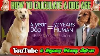 How to Calculate a Dog Age In Tamil | real fact 360 | balaji