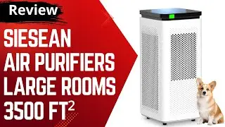 Siesean Air Purifiers for Home Large Rooms up to 3500 Ft&sup2; Review