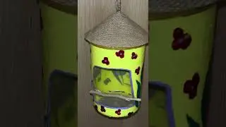 #birdfeeder #3dmodel #wastetobest #wastecraftideas #plasticreuse