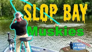 Slop Bay TOPWATER Muskies! | Spence Petros | Fishing With Joe Bucher RELOADED