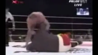 335funny boxing