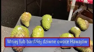 Mniej lub bardziej dziwne owoce Hawajów  - flaszowiec miękkociernisty