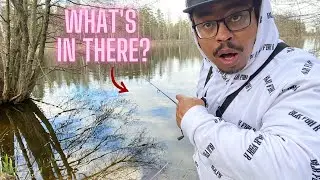 Micro Fishing in Ponds for Roach and Bream