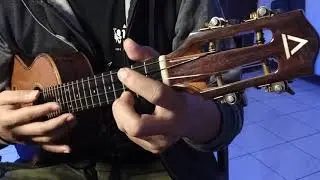 Make You Feel My Love (Ukulele Instrumental Cover)
