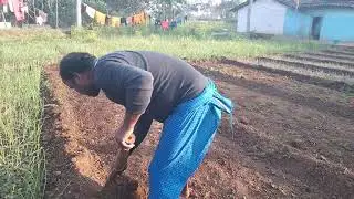  खेत तैयार