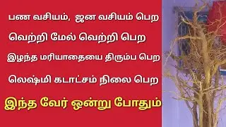 Kuppaimeni ver uses in tamil / குப்பைமேனி வேர் ரகசியம்